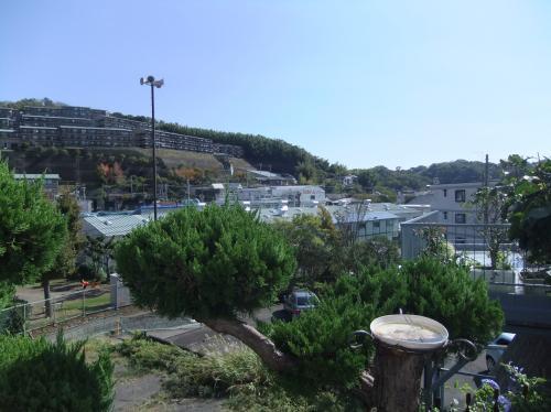 View photos from the local. View from local