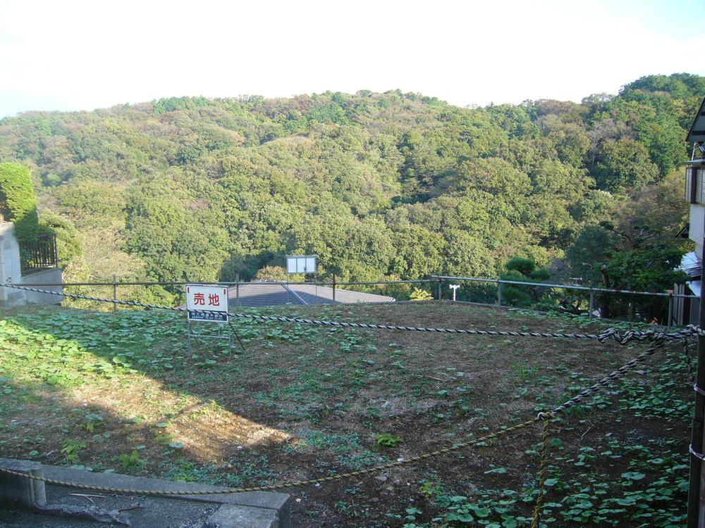 Local land photo. Local (10 May 2013) Shooting