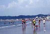 Other Environmental Photo. Zaimokuza to the coast 200m