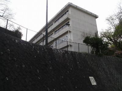 Junior high school. Iwase 2000m until junior high school