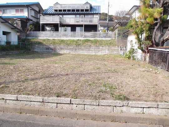 Local land photo. Local state (2012. November shooting)