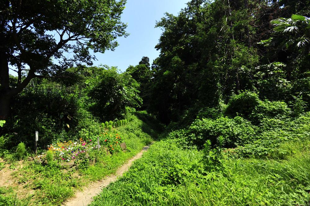 Other local. The Ofuna Station within walking distance is a natural rich living environment unbelievably