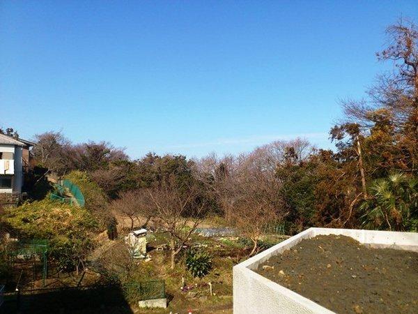 View photos from the local