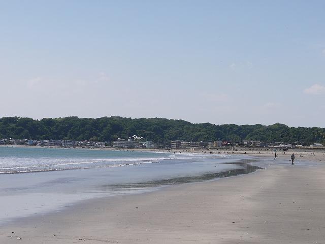 Other Environmental Photo. Zaimokuza to the coast 850m