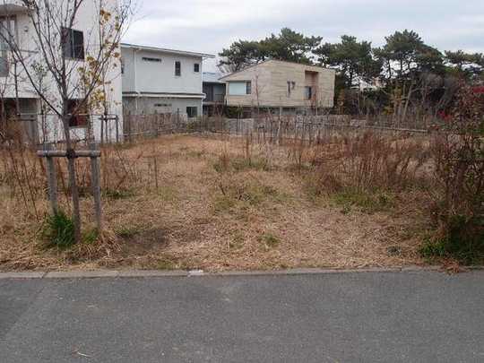 Local land photo. Local Photos