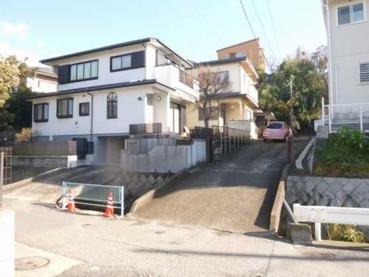 Local land photo. Appearance 1