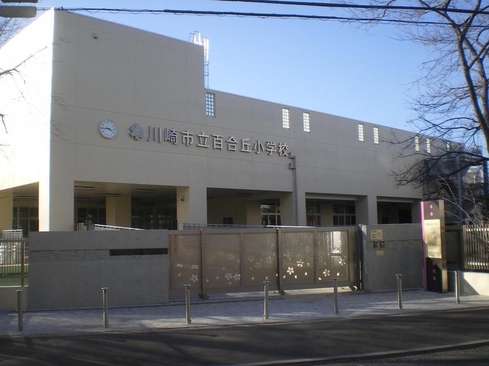 Primary school. Municipal lily months hill elementary school