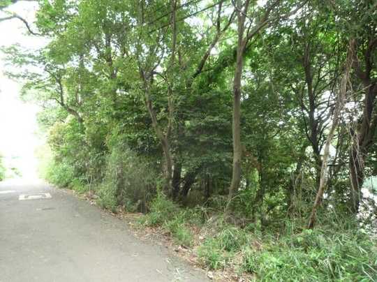 Local land photo. Local Photo 1