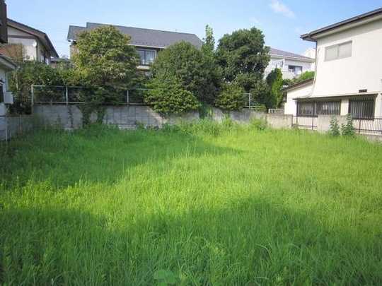 Local land photo. local