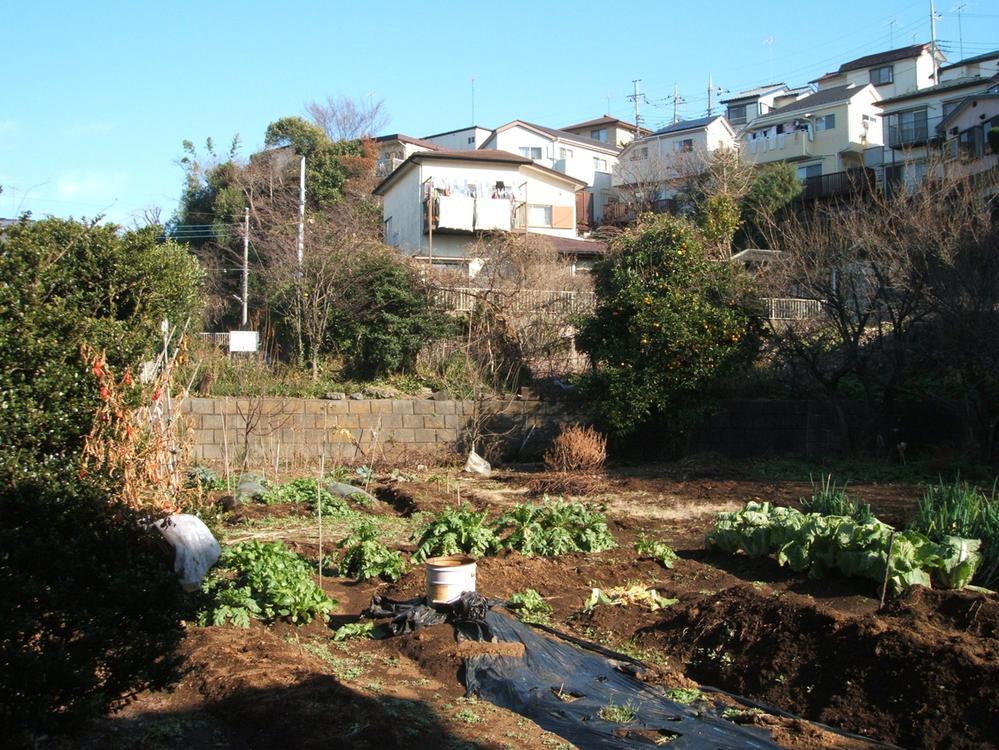 Local land photo. Local (10 May 2011) Shooting