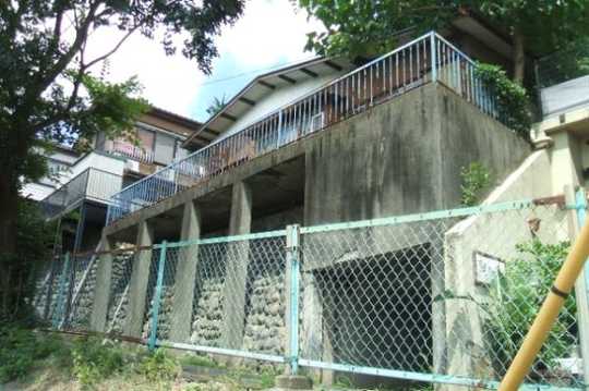 Local land photo. appearance