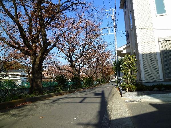 Other Environmental Photo. Frontal road