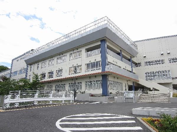 Junior high school. Kakio 800m until junior high school