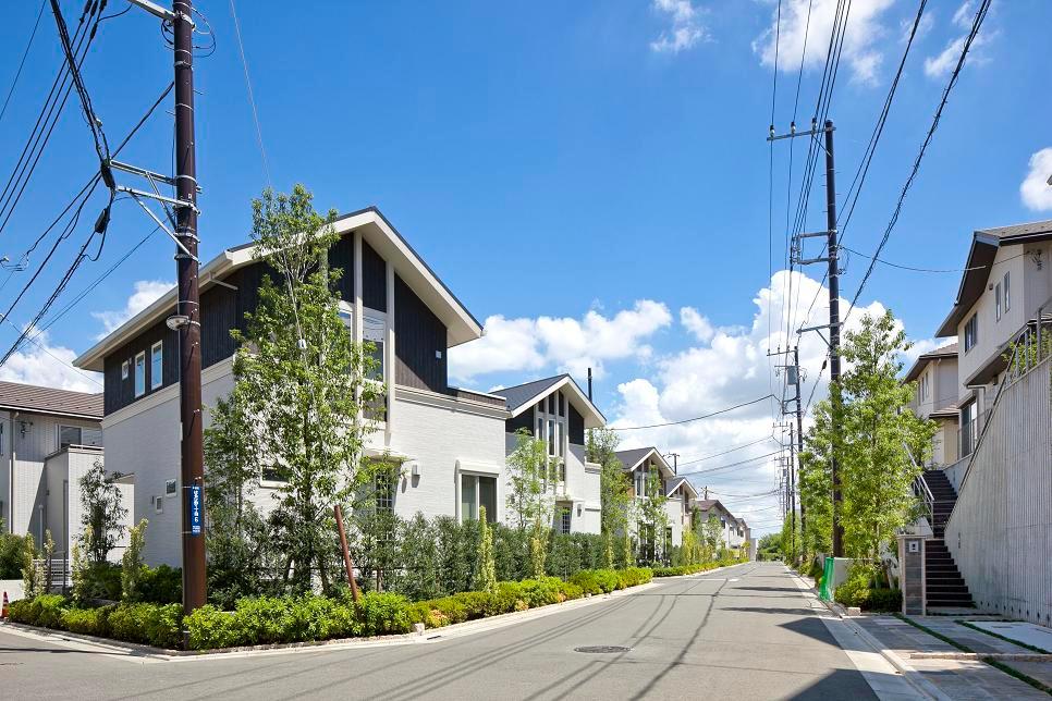 Other Environmental Photo. Local streets