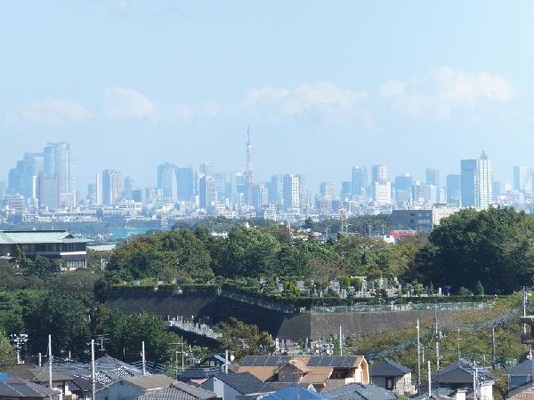 Other local. You views of the Tokyo Tower from local.