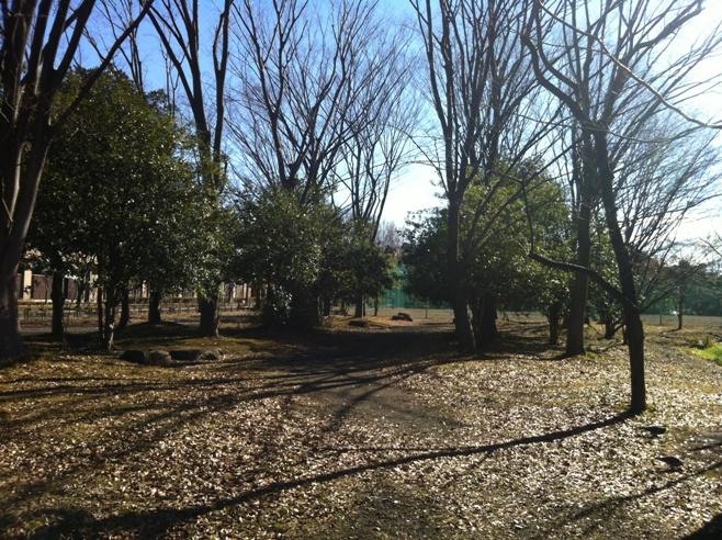 Streets around. Kamiaso green open space (about 150m)
