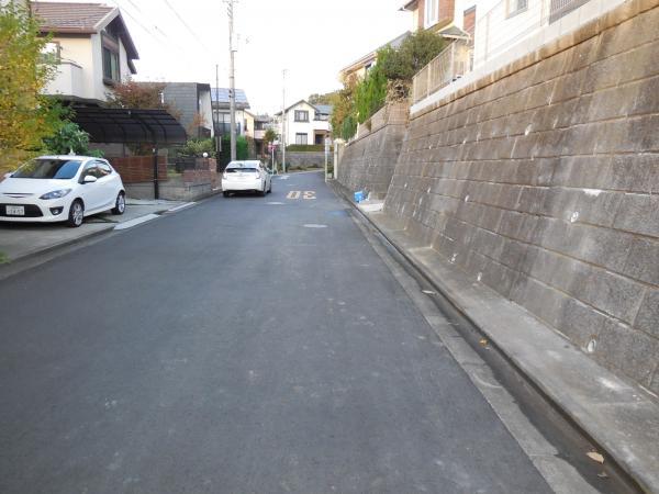 Local photos, including front road