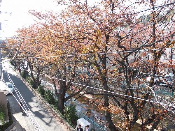 Other introspection. View from the living room West