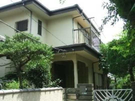 Local land photo. Appearance (1)