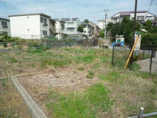 Local land photo. local