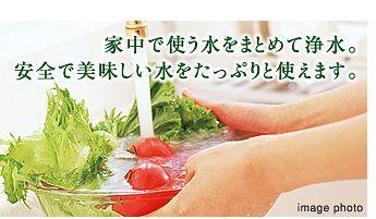 Other Equipment. System which purifies all "water" in the house that "drinking water" is of course stuck to "water touching the skin". The purification system that gained a reputation as "I want to use even if the move" from many people in your home who use comes standard with. It reduces material considered offensive, including the chlorine contained in tap water. Leave the minerals contained in tap water. Beverage ・ bath ・ shower ・ Toilet, etc., It will supply safe water to all the house.