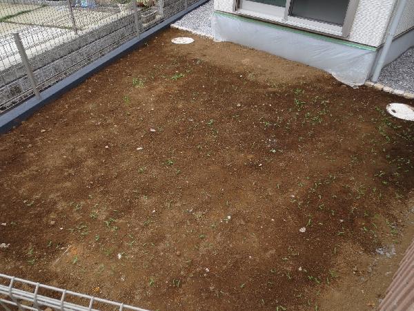 Garden. It is your garden.