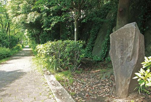 Streets around. Koyano of green road to (site west) 90m