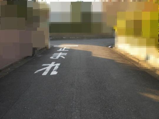 Local land photo. It is a front road