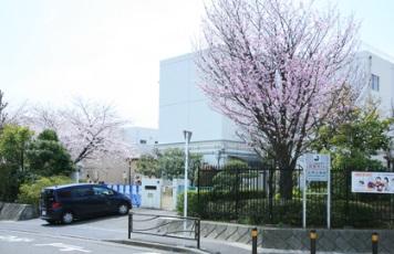 Primary school. 1200m up to elementary school