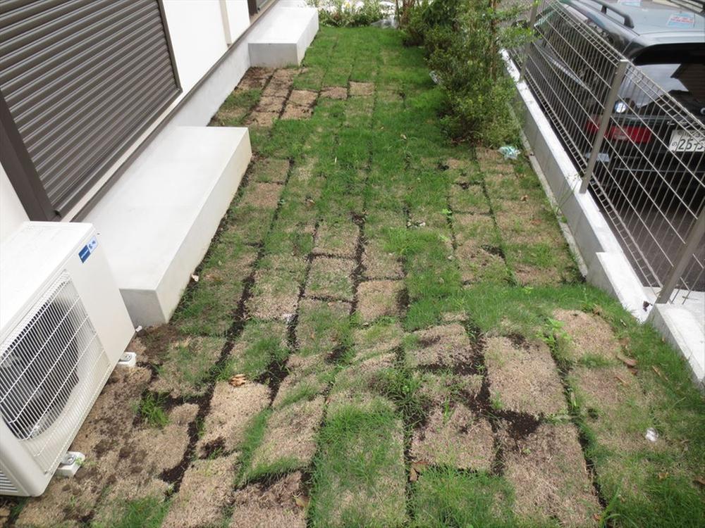 Garden. Building 3 garden