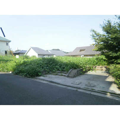 Local land photo. Local 1