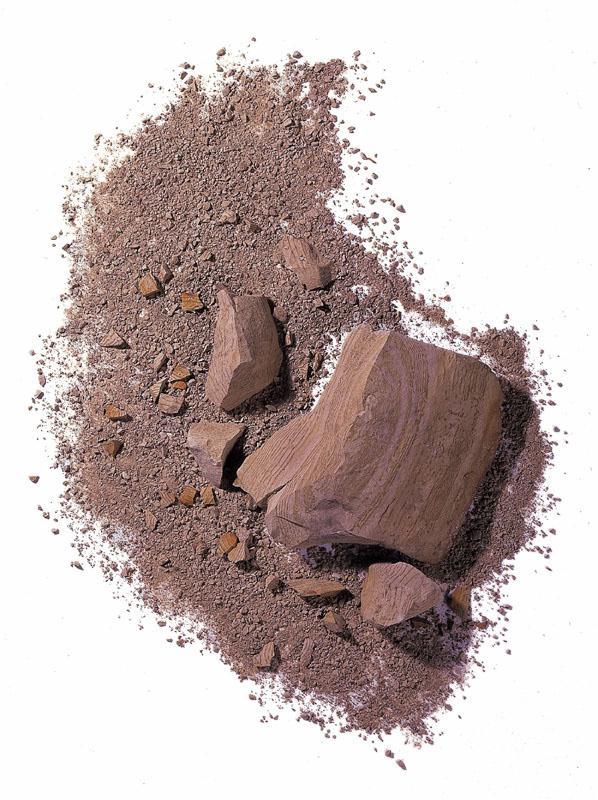 Other Equipment. For healthy living building, For the first time employed as a building material absorption and moisture performance in excellent Hokkaido Wakkanai diatomaceous earth in the housing industry. To control the humidity in the forces of nature, With to reduce the condensation, Mite ・ Also suppresses the generation of mold.