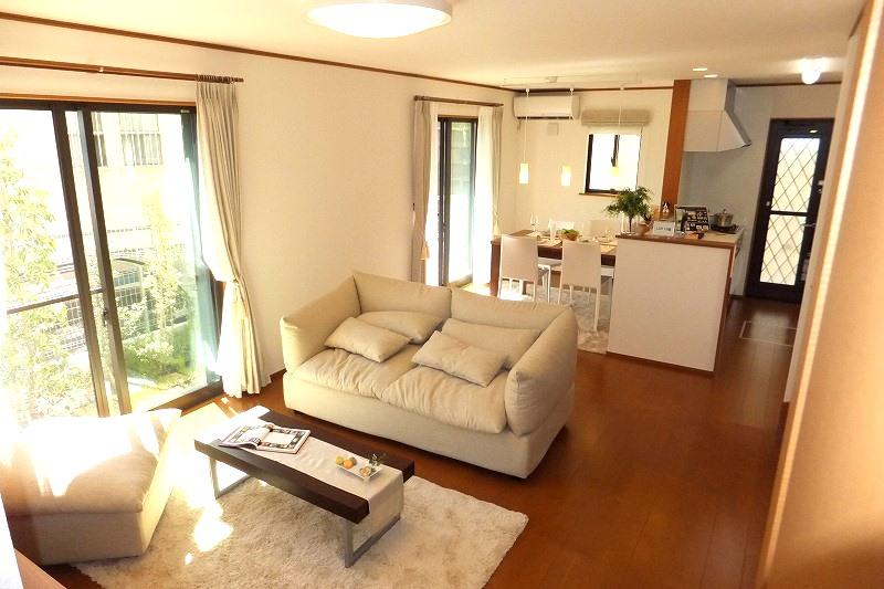 Living. Indoor (09 May 2013) Shooting