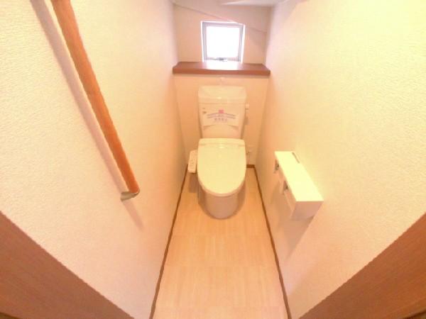 Toilet. Shower toilet