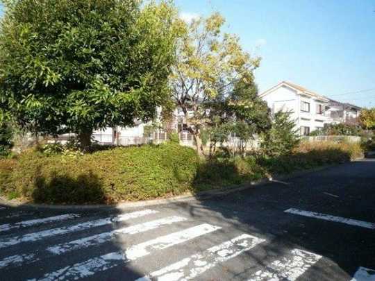 Local land photo. local