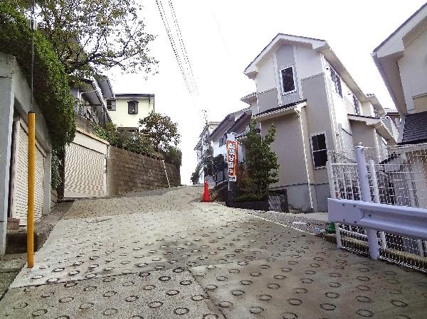 Local photos, including front road