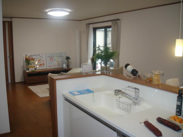 Living. Indoor (10 May 2013) Shooting