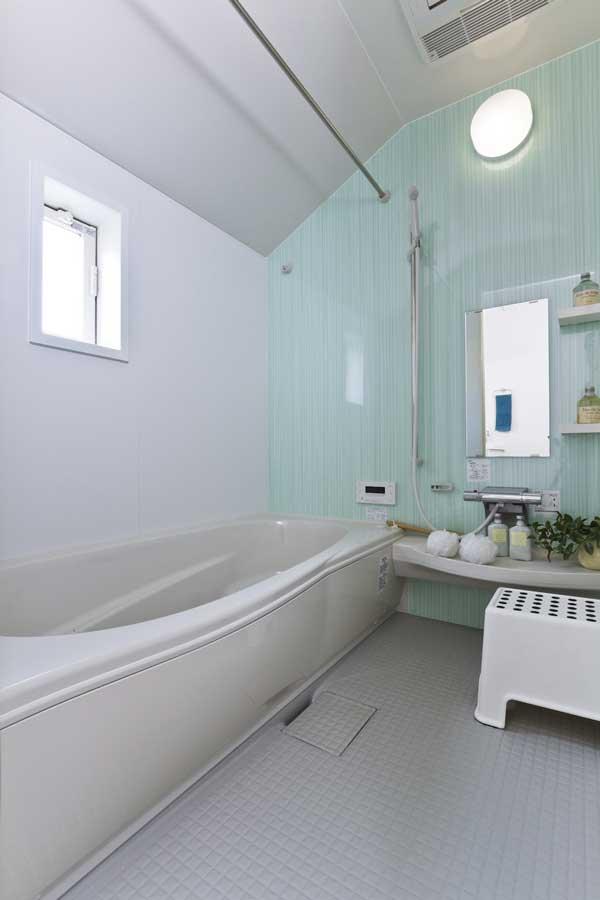 Bathroom. Indoor (July 2013 shooting)