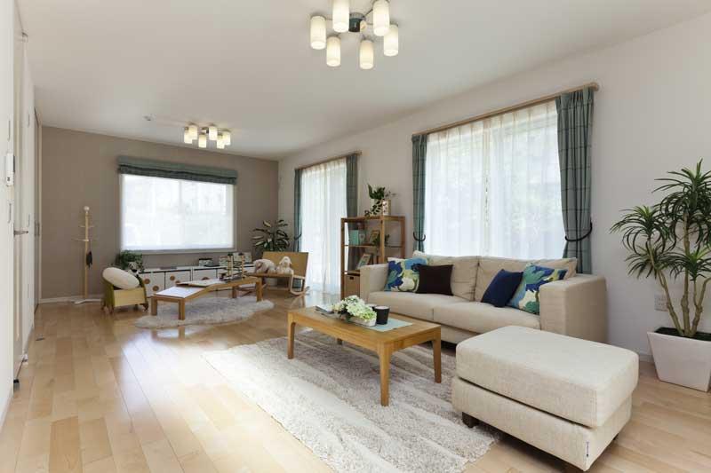 Living. Model house (July 2013 shooting)