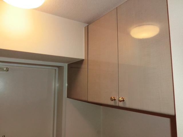 Other introspection. Entrance storage