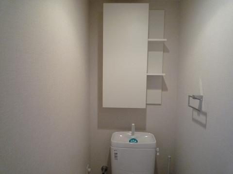 Toilet. Local (12 May 2013) Shooting