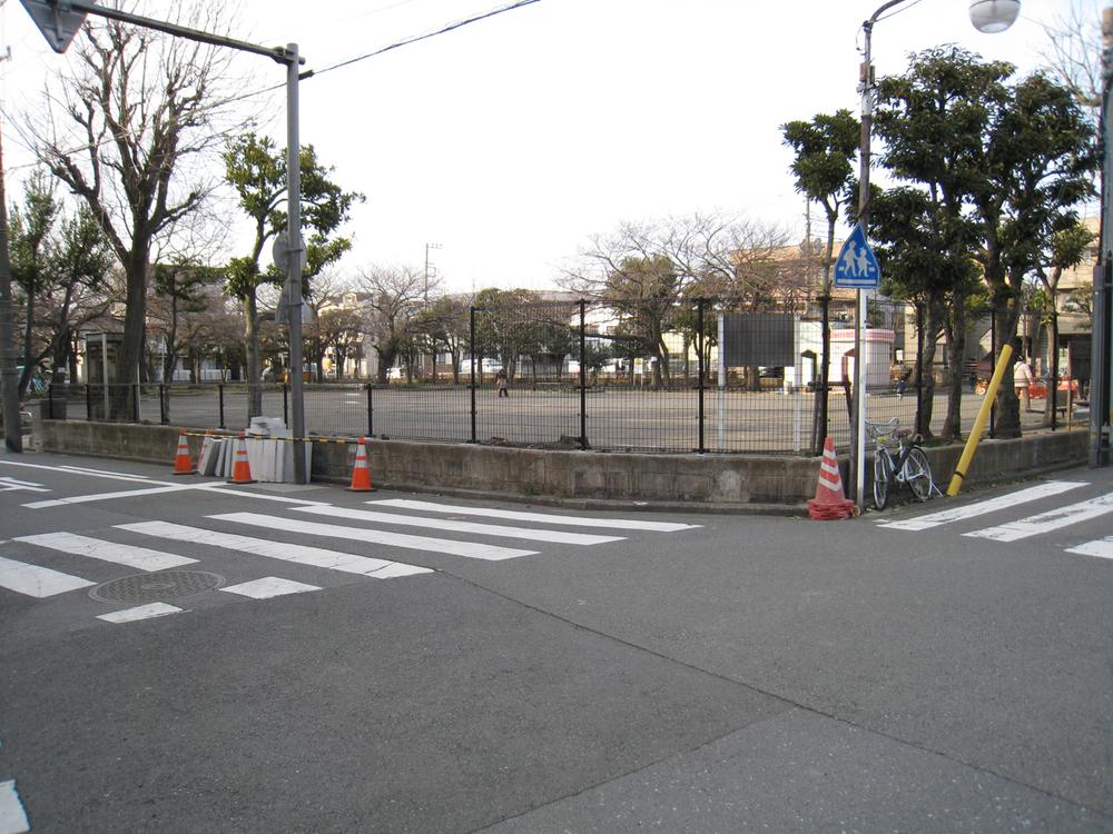 Other. Soon there is Zingiber mioga park environment favorable to buckwheat (37m)