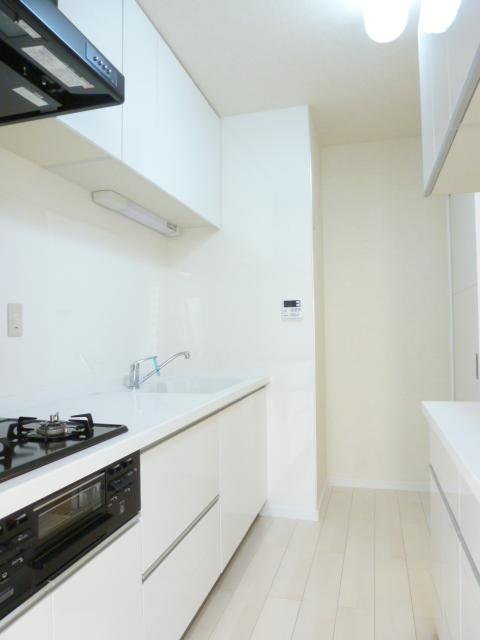 Kitchen. Indoor (10 May 2013) Shooting