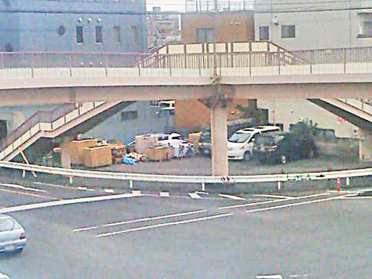 Local land photo. appearance