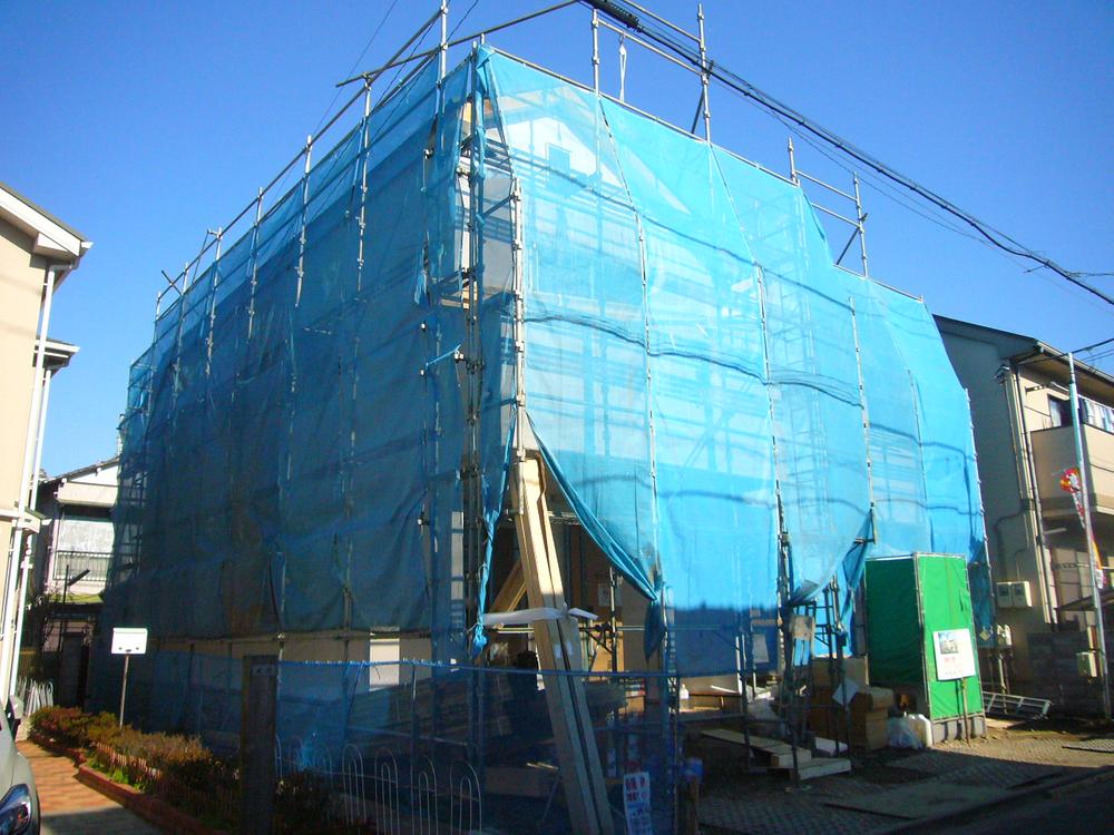 Local appearance photo. Local (12 May 2013) is a good per sun on shooting all Tominami direction