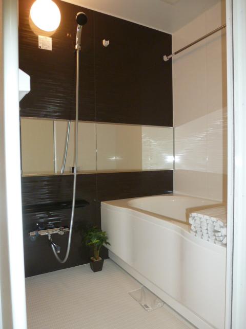Bathroom. Indoor (11 May 2013) Shooting