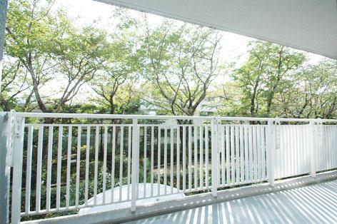 View photos from the dwelling unit. View from local