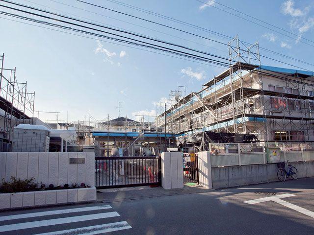 Other. Oshima nursery