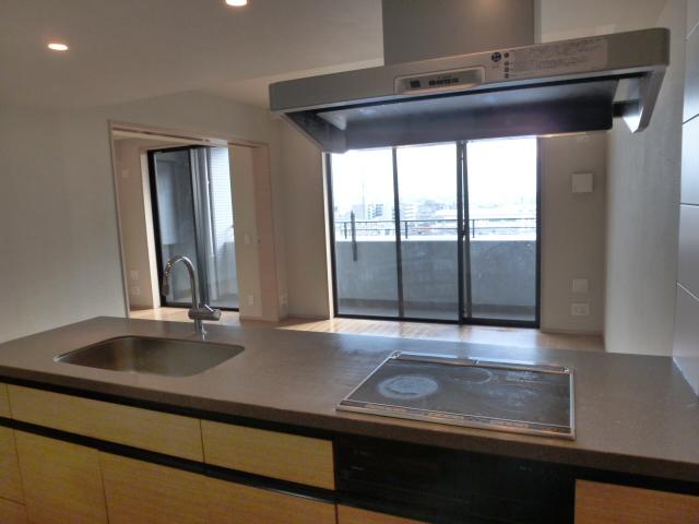 Kitchen. Indoor (12 May 2013) Shooting