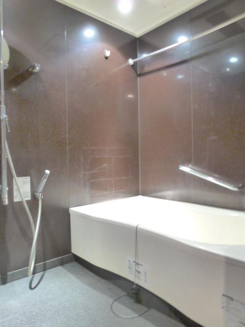 Bathroom. Indoor (12 May 2013) Shooting